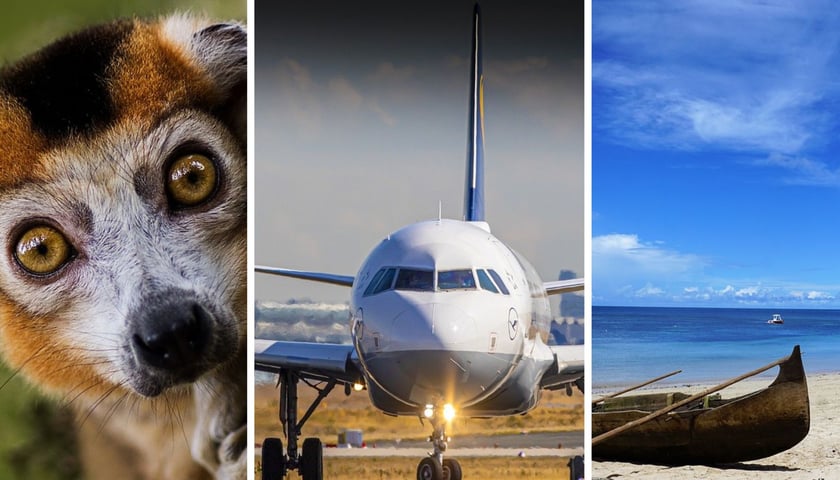 Pysk lemura, samolot i łódka na plaży Madagaskaru