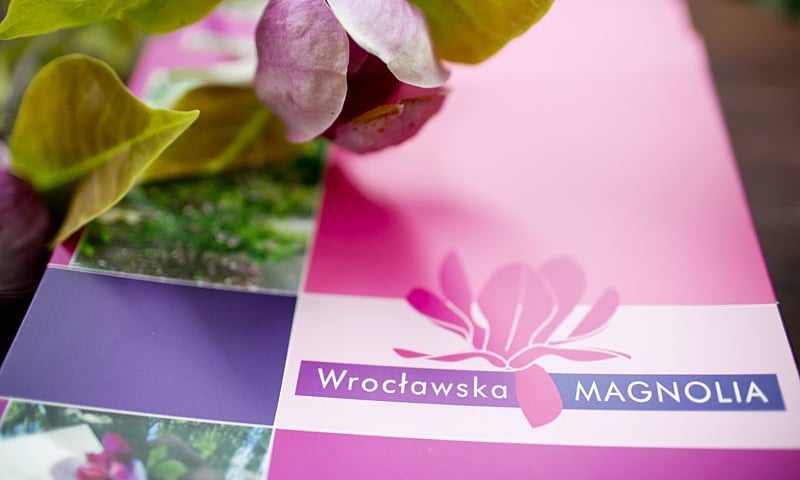 W konkursie Wrocławska Magnolia możesz wygrać nawet 10 tys. zł.