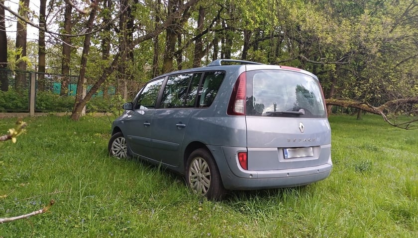 <p>Przykłady niezgodnego z prawem parkowania - teren zielony</p>