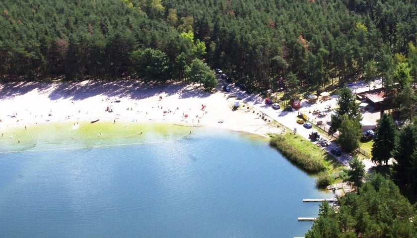 Kąpielisko w Jelczu-Laskowicach mieści się w pobliżu lasu. Sprawdź, gdzie warto pojechać nad jezioro!