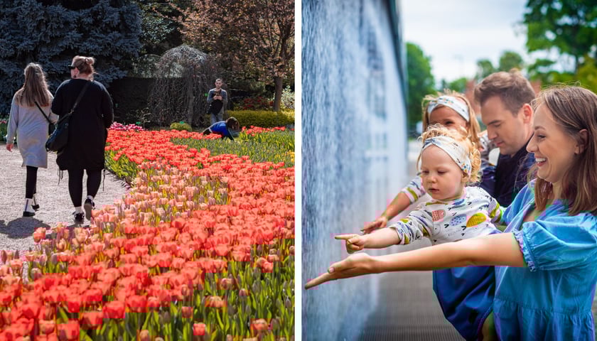 Ogród Botaniczny, Hydropolis