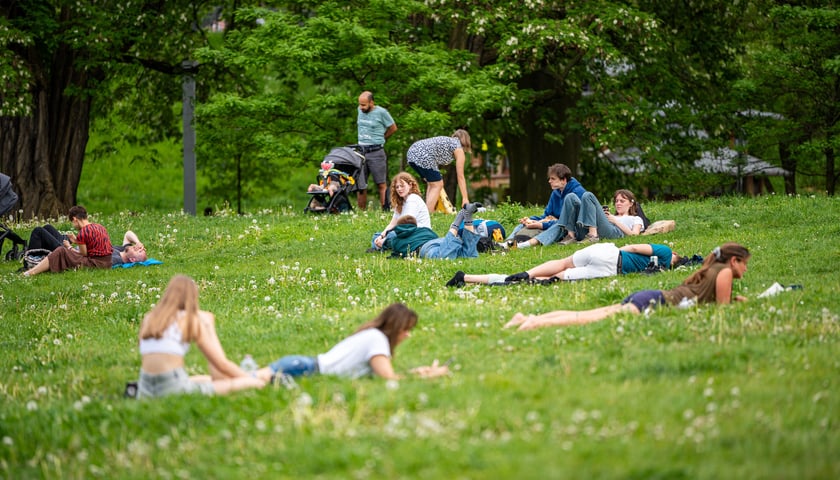 Ludzie wypoczywający na trawie. Majówka 2024