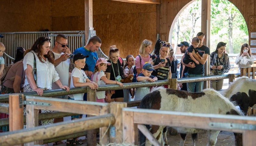 Dzieciniec Zwierzęcy w nowej odsłonie. Są nowości! 