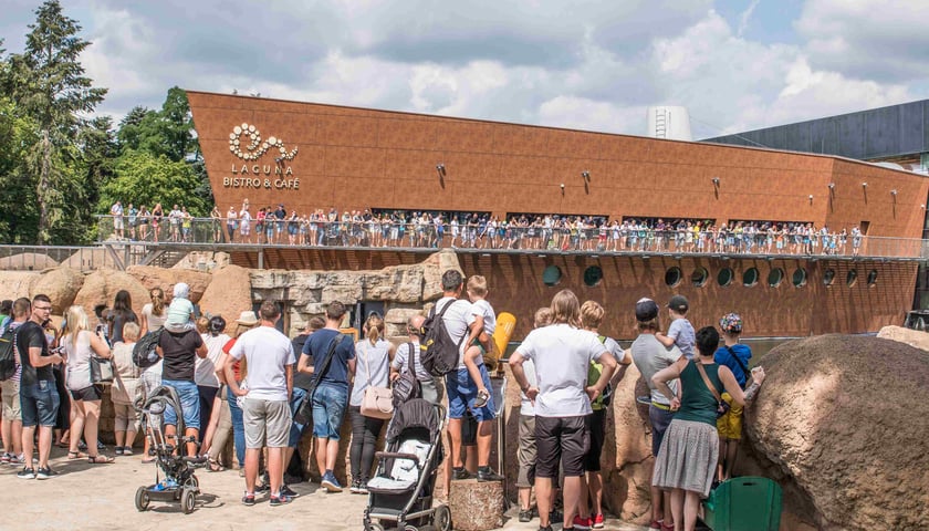 Wrocławskie zoo i dziesiątki tysięcy zwiedzających