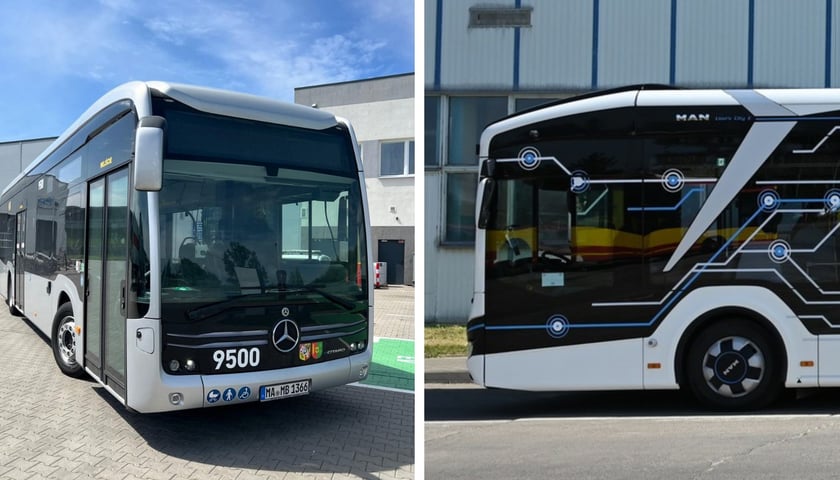 Mercedes eCitaro i Man Lion's E