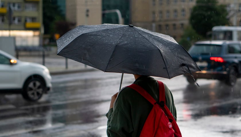 Przechodzień skryty pod parasolem czekający przy przejściu dla pieszych. Zdjęcie archiwalne, ilustracyjne