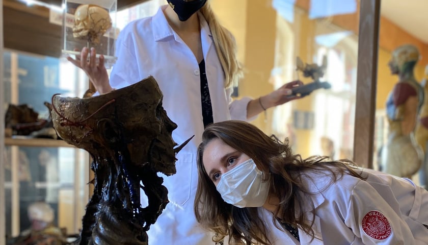  Nowe życie Muzeum Anatomii - dzięki projektowi studentów Uniwersytetu Medycznego