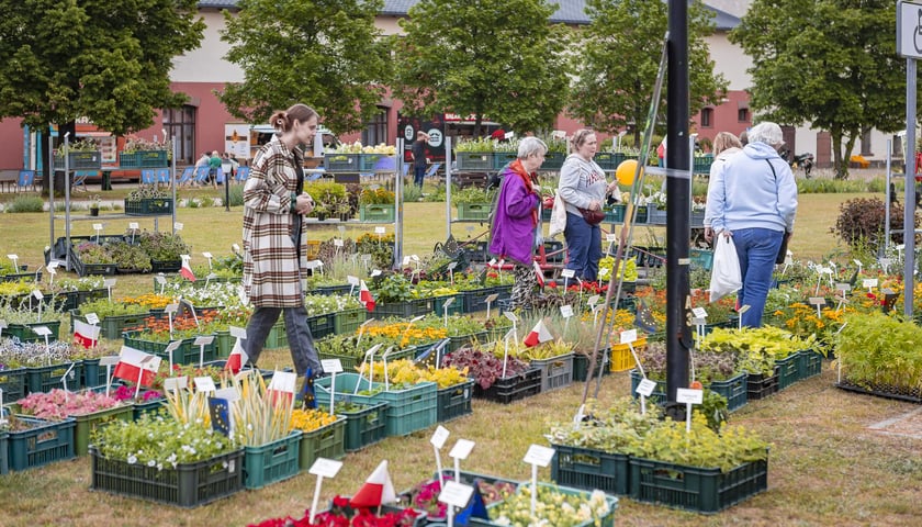 Naukowy piknik u Przyrodników, Wrocław ul. Pawłowicka 91, 11.05.2024