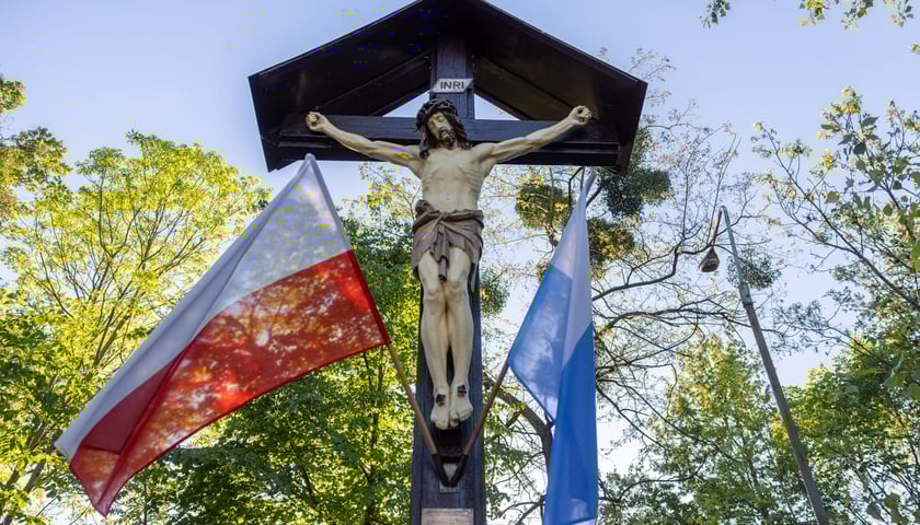 Krzyż stojący przy ul. Bora-Komorowskiego na Zakrzowie. Zarówno krzyż jak i figura powstały według bliźniaczego wzoru co w przypadku krzyża na granicy Biskupina i Dąbia.