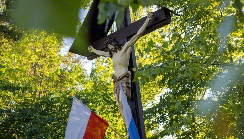 Krzyż stojący przy ul. Bora-Komorowskiego na Zakrzowie. Zarówno krzyż jak i figura powstały według bliźniaczego wzoru co w przypadku krzyża na granicy Biskupina i Dąbia.