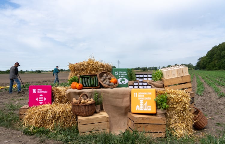 Farma Miejska z eko warzywami dla najmłodszych wrocławian