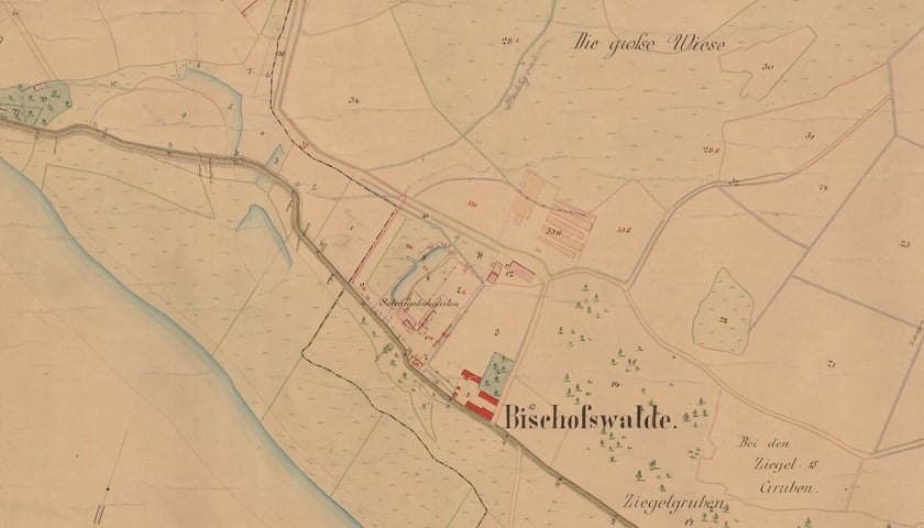Fragment mapy z 1880 roku, na którym widać cegielnię w Bischofswalde. (Stan przed rozbudową, której rezultat widzimy na zdjęciach lotniczych z okresu międzywojennego.)