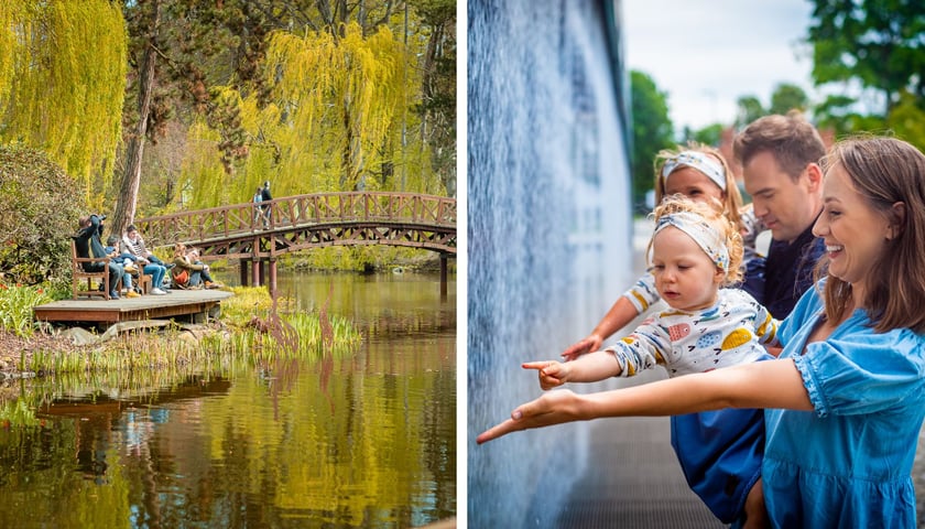 Ogród Botaniczny, Hydropolis