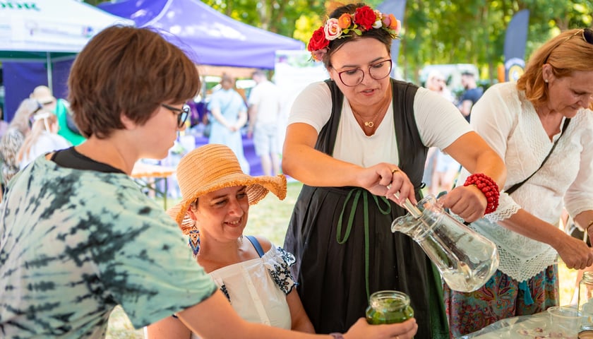 Targ rolny i piknik rodzinny na ul. Zwycięskiej, 29 czerwca 2025 r.