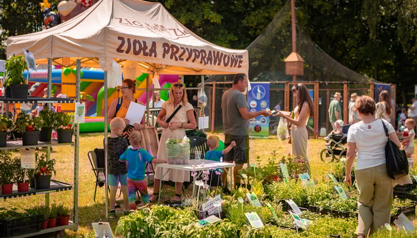 Targ rolny i piknik rodzinny na ul. Zwycięskiej, 29 czerwca 2025 r.