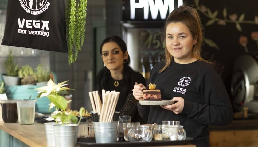 Vega to najstarszy bar wegański we Wrocławiu. Sprawdź, gdzie jeszcze zjesz roślinne dania w stolicy Dolnego Śląska!