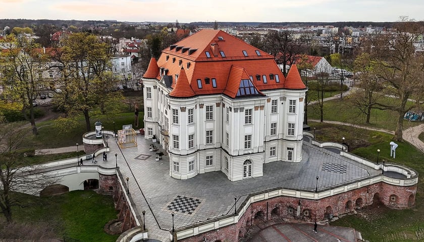 Zamek w Leśnicy