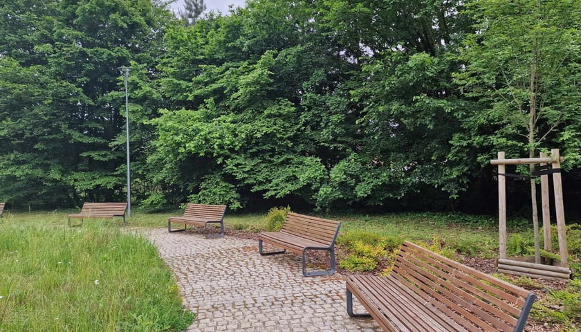 <p>Miejsce spotkań i wypoczynku na Świniarach</p>