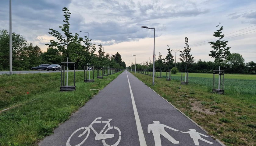 <p>Droga rowerowa i chodnik wzdłuż przebudowanej drogi wojew&oacute;dzkiej na Świniarach</p>