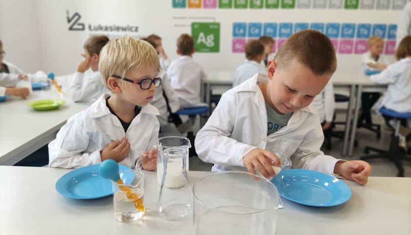 Zajęcia laboratoryjne