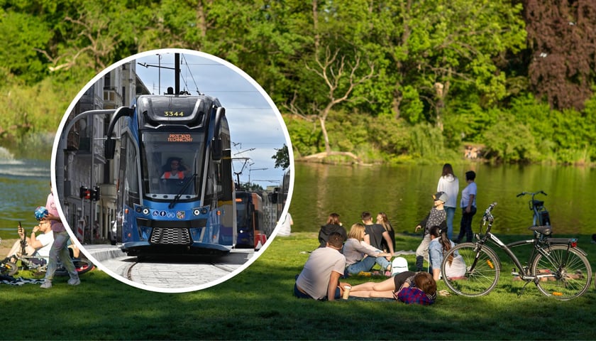 W wakacje obowiązują inne rozkłady jazdy. Tramwaje i autobusy kursują rzadziej. Na zdjęciu ludzie piknikujący nad rzeką oraz tramwaj testowo przejeżdżający ul. Pomorską.  