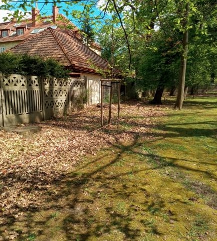 Ogrodzenie przed wymianą