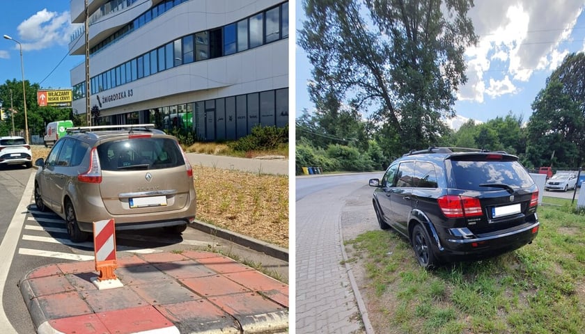 W ciągu tygodnia Straż Miejska Wrocławia wystawiła 407 mandatów na kwotę 80 300 złotych