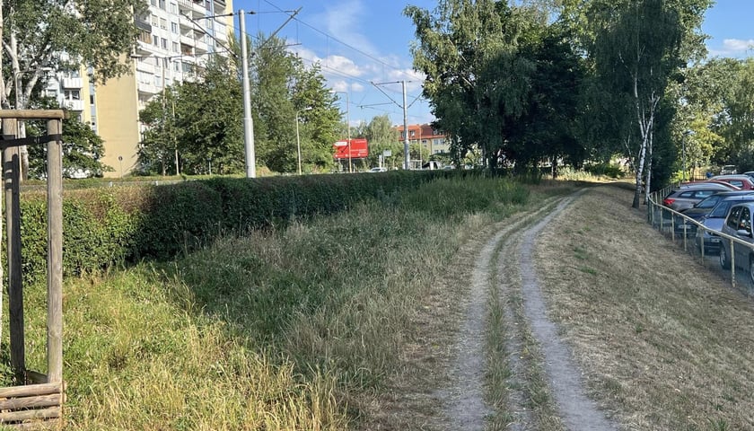 Ścieżka gruntowa przy ul. Żmigrodzkiej