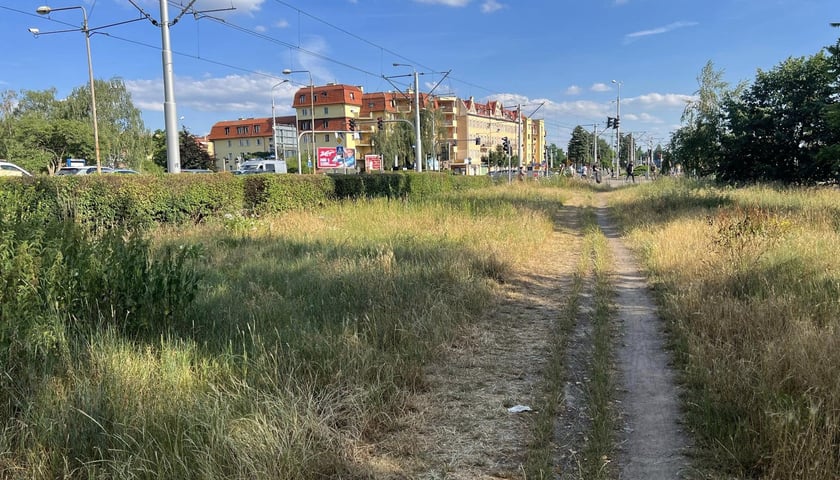Ścieżka gruntowa przy ul. Żmigrodzkiej