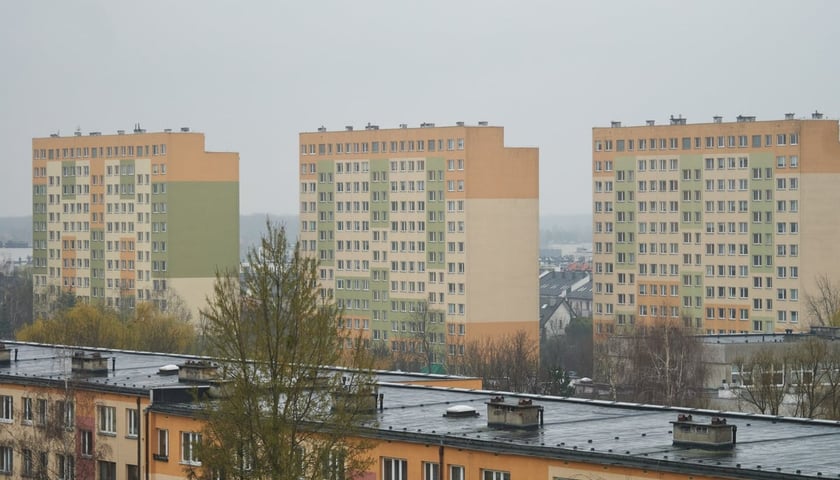 Zdjęcie ilustracyjne: osiedle Psie Pole z lotu ptaka