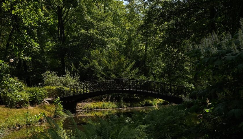 Na zdjęciu Park Szczytnicki we Wrocławiu. Ogrody Szczytnickie to nowa zielona inwestycja, która powiększy teren parku aż o ponad 10 ha. Sprawdź inne projekty realizowane w mieście! 