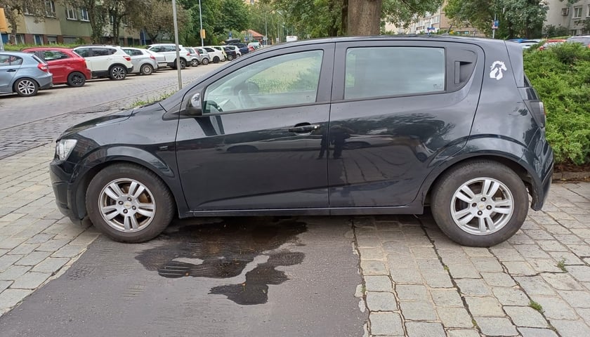 Przykłady nieprawidłowego parkowania samochod&oacute;w