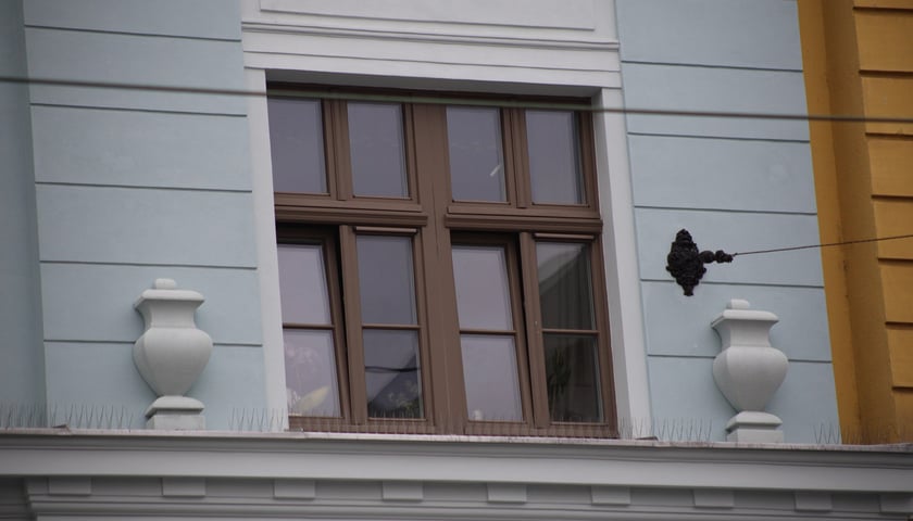 Kamienica przy ul. Kościuszki 124&nbsp;
