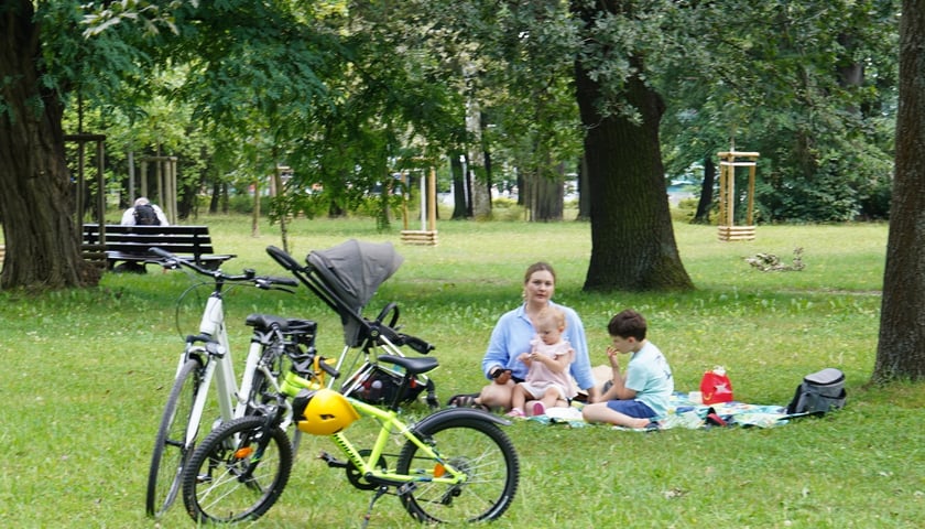 Mama z dwójką dzieci na kocu w parku Zachodnim, na pierwszym planie rowery