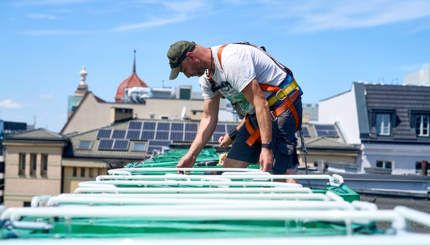 Mężczyzna w czapce z daszkiem instaluje szklane rury neonu "dobry wieczór we Wrocławiu"