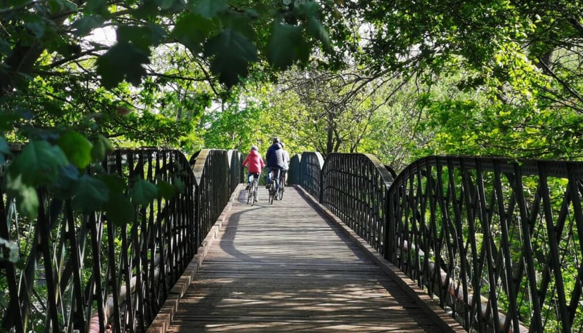 <p>Drewniany most na trasie Pętla Twierdzy Wrocław</p>