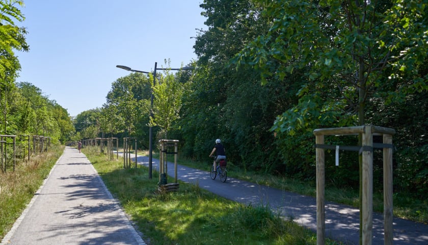 <p>Promenada Krzycka</p>