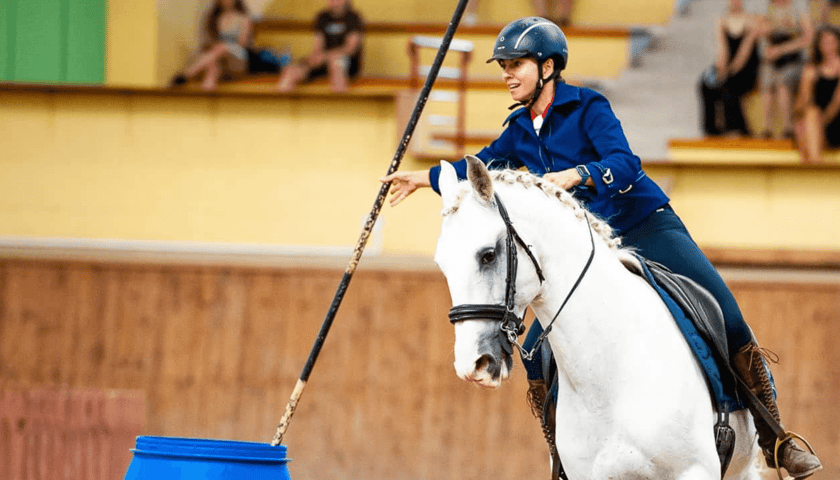 <p>Zawody working equitation</p>