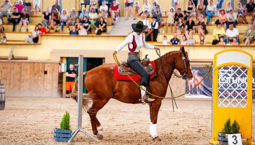 Zawody working equitation (zdjęcie ilustracyjne)