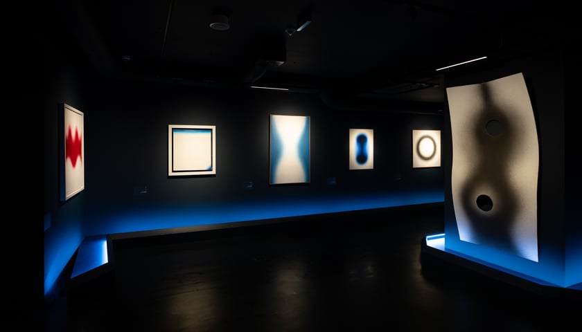 <p>Obrazy Wojciecha Fangora na wystawie w Krupa Art Foundation&nbsp;</p>