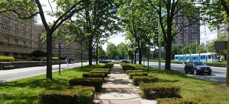 zielony bulwar przy placu Grunwaldzkim we Wrocławiu
