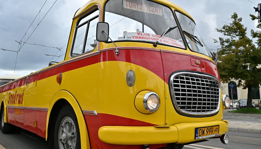 Fredruś, Jelcz-ogórek w wersji kabriolet, to jeden z symboli Wrocławia. Zdjęcie pochodzi z parady zabytkowych pojazdów zorganizowanej z okazji otwarcia trasy na Nowy Dwór (wrzesień 2023 rok)