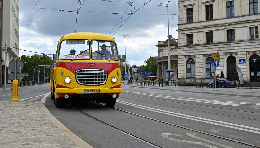 Fredruś, Jelcz-ogórek w wersji kabriolet, to jeden z symboli Wrocławia. Zdjęcie pochodzi z parady zabytkowych pojazdów zorganizowanej z okazji otwarcia trasy na Nowy Dwór (wrzesień 2023 rok)