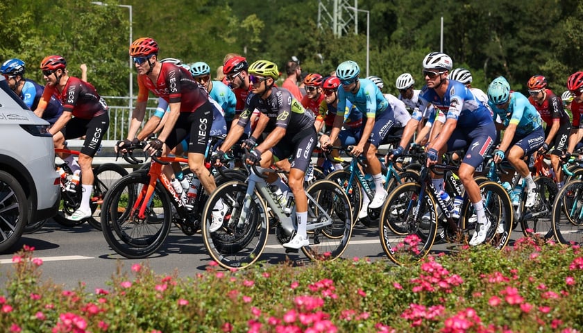 Start ostry 81. TdP (12.08.2024)