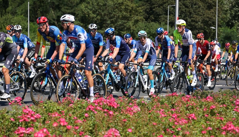 Start ostry 81. TdP (12.08.2024)