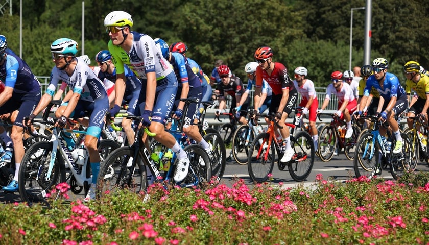 Start ostry 81. TdP (12.08.2024)