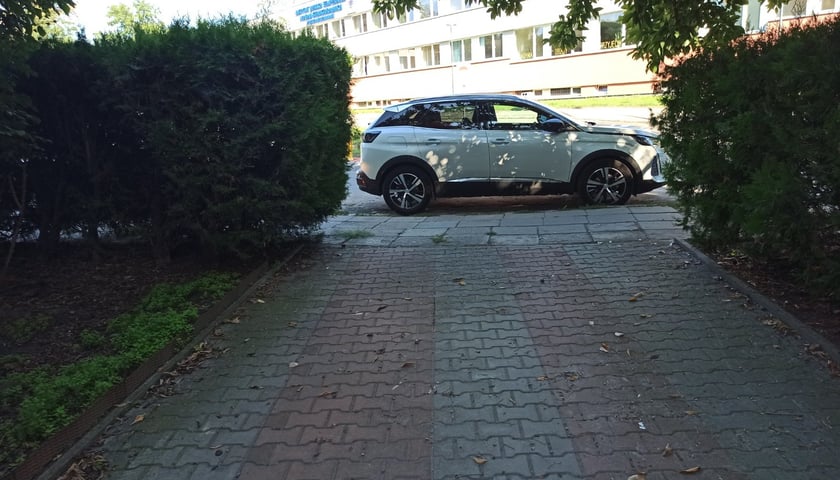Przykłady nieprawidłowo zaparkowanych samochod&oacute;w