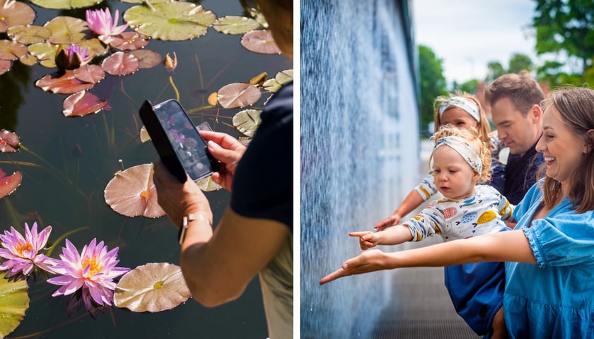 Lilie w Ogrodzie Botanicznym, rodzina w Hydropolis