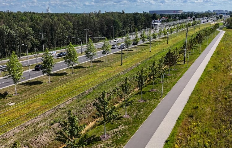 Oprócz 264 drzew wzdłuż ulicy Kosmonautów zostanie posadzonych jesienią także poad 24 tys. krzewów i 2,8 tys. traw ozdobnych