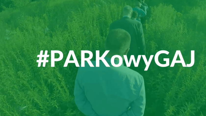 spacer badawczy podczas konsultacji PARKowy GAJ